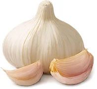 CardiGo — ajo (Allium sativum)